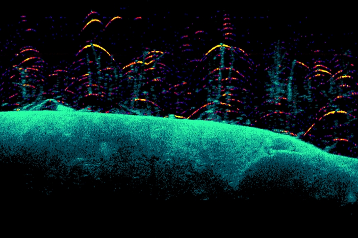 DownScan imaging on a Lowrance Eagle on screen