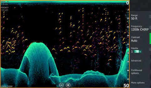 Active Imaging HD DownScan